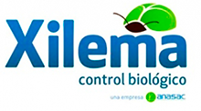 logo-xilema-220x122-1