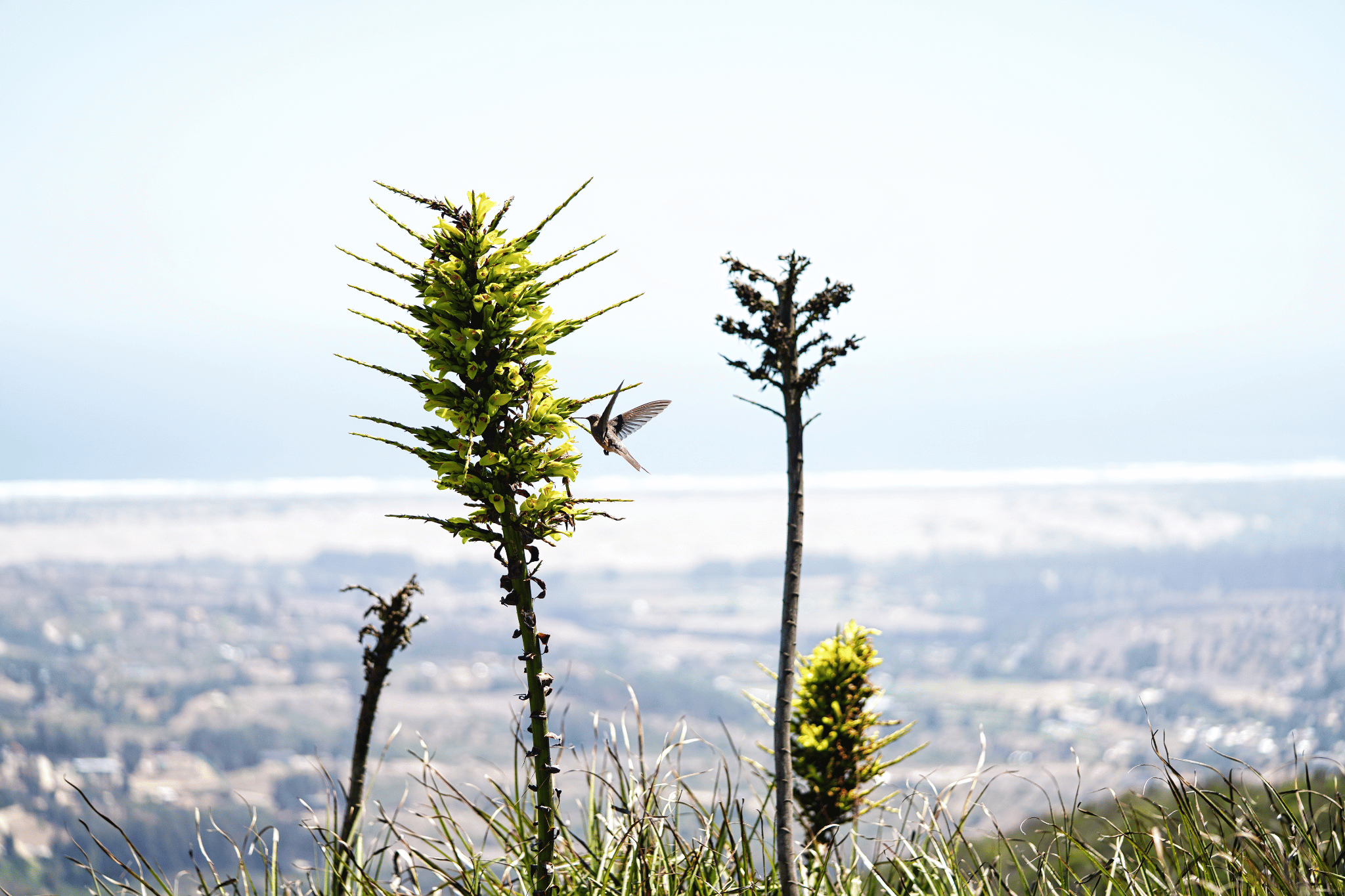 Entorno de biodiversidad