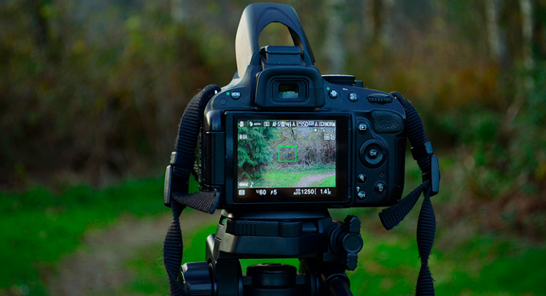 biocea-fotografia-y-video-798x435-1-768x419