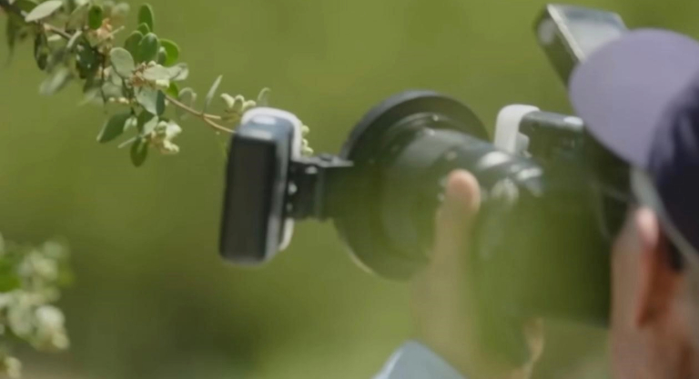 Fotografia Renato Ripa Fotografia Renato Ripa